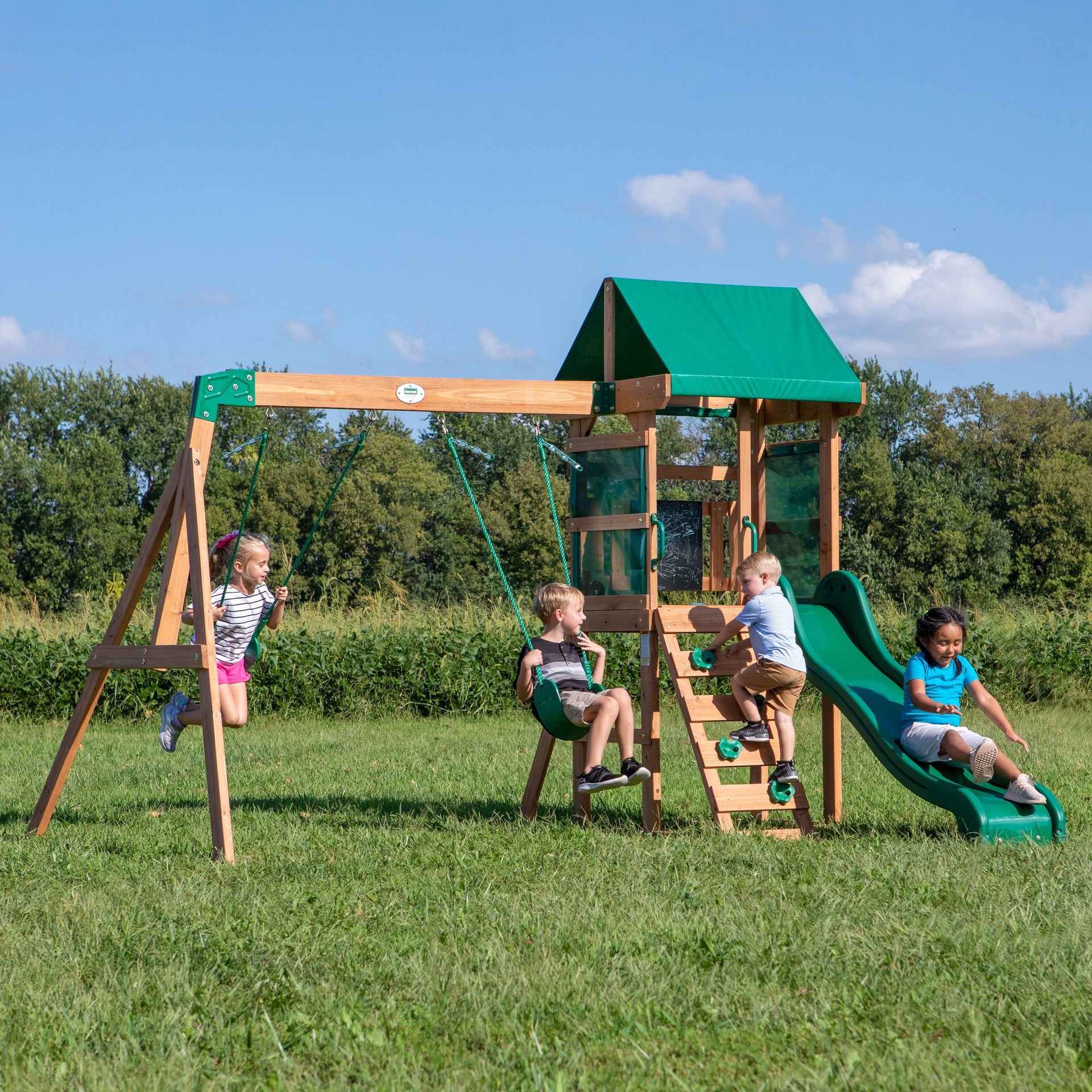 Backyard Discovery Buckley Hill Swing Set Assembly & Installation Service's In Northern Virginia, Eastern Panhandle WV,  Washington DC, & Montgomery County MD.